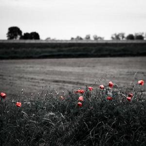 少妇谢精❌❌❌❌X白将
